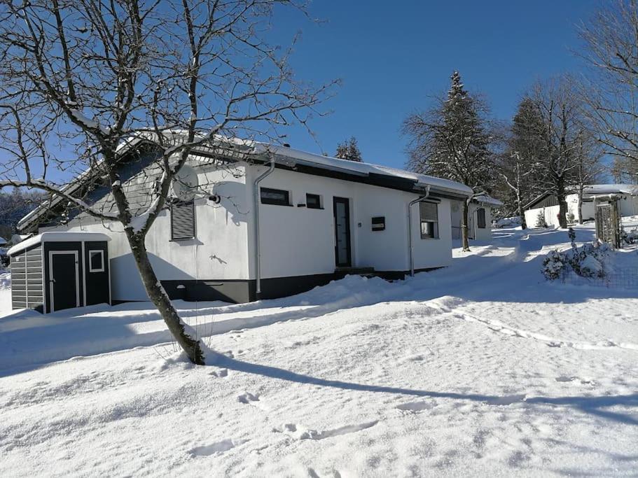 Ferienhaus Bergliebe In Willingen Willingen  Buitenkant foto